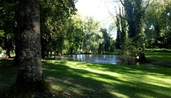 Othe-Armance Festival : 36 ans et toujours dans le parc