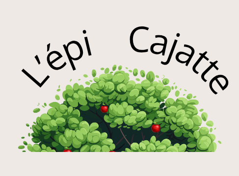 L’Épi Cajatte : Quand l&rsquo;engagement citoyen redonne vie à la place du village de Pâlis